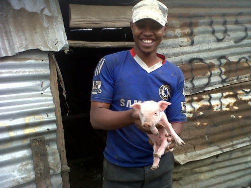 photo of pig raising project in kenya