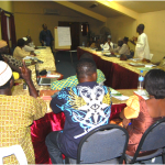 Participants of the Lagos, Nigeria, workshop. (Photo: FIWON)